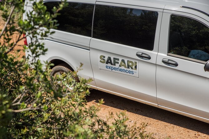 Athens West 4x4 Blue Lagoon Safari Adventure - Pine forest off-road stops and the Melagavi Lighthouse panorama