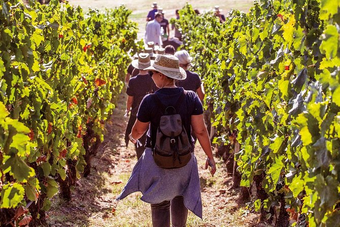 Athens Wine Tour - An Outstanding Full Day Experience For Dedicated Winelovers - Key highlights you’ll care about