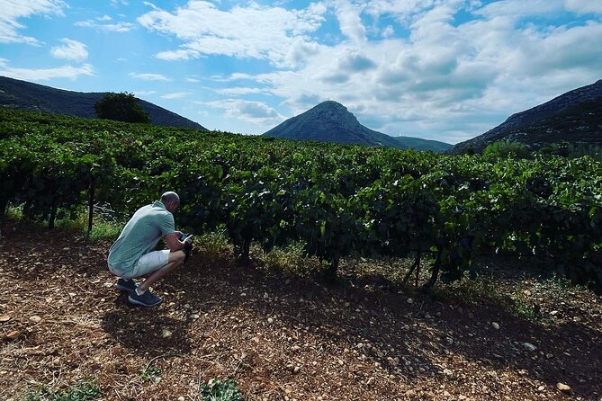 Athens Wine Tour with Wine Expert - Your Guide (Ioanna) and the Taste-Notes That Make It Click