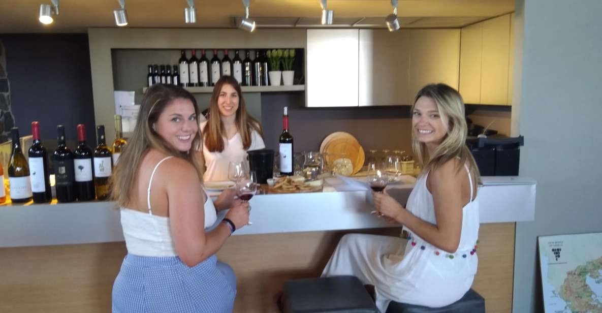 Athens Winery Tour - Food Pairing: Finger Food, Local Cheese, and Optional Greek Lunch