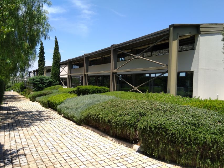 Athens Winery Tour - Getting There: Pickup, the 50-Minute Scenic Drive, and Timing