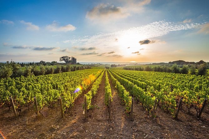 Corinth and Nemea Wine-tasting full day tour from Athens - Driver and Transport: The Unseen Value