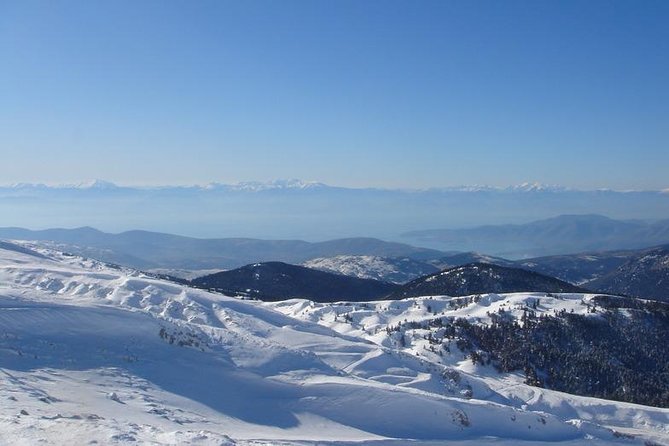 Delphi Private Full-day trip from Athens - A private Delphi day that feels made for your group