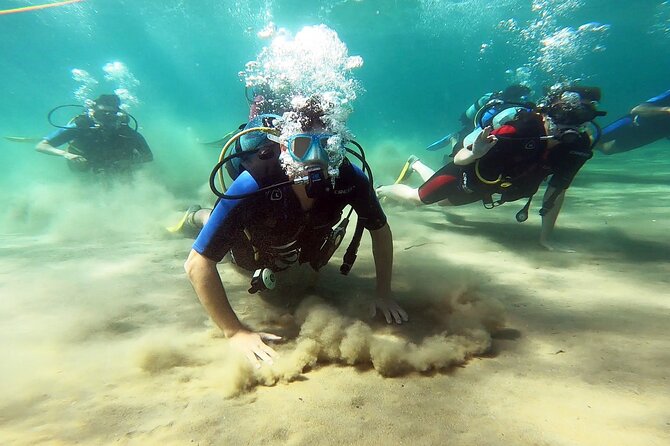 Discover Small Group Scuba Diving Experience in Nea Makri, Athens - Key Points I’d Focus On Before You Go