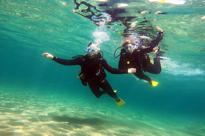Discover Small Group Scuba Diving Experience in Nea Makri, Athens - Gear, Safety, and the Style of Dimitri and Maria
