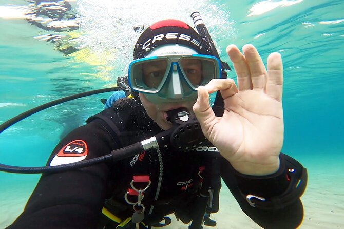 Discover Small Group Scuba Diving Experience in Nea Makri, Athens - Price and Value: Is $108.61 a Good Deal?