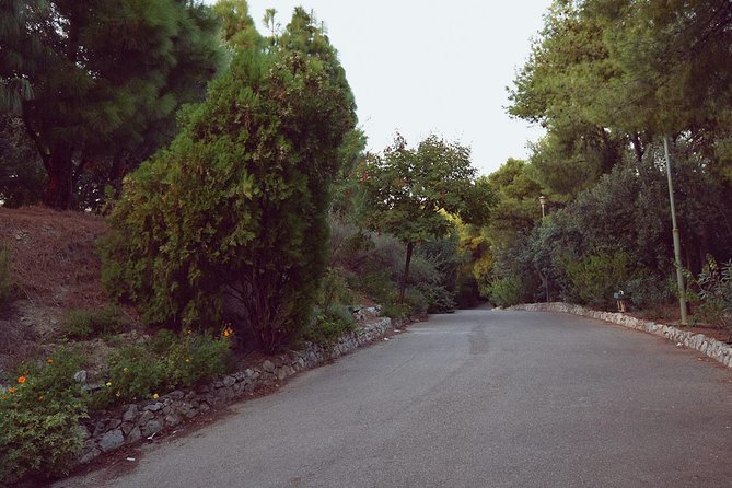 Dora Stratou Greek Dancing Show Skip-the-Line Ticket - Getting there without a headache: steep hillside logistics