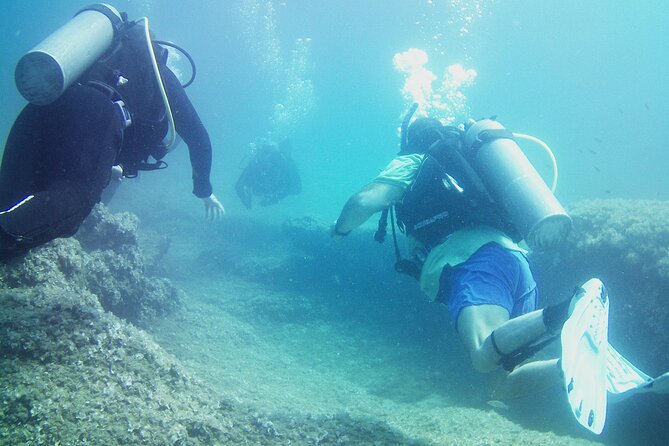 Double Shore Dive (certified divers) - What to bring: the small list that makes a big difference