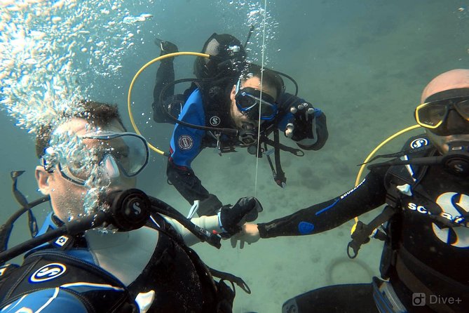 Double Shore Dive (certified divers) - Price and value: is $243.10 reasonable for what you get?