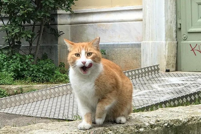 Exarcheia walking tour: The other side of Athens - Tips to make the walk easier (and more enjoyable)