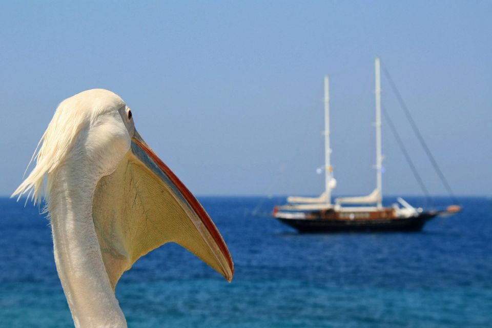 From Athens: 2-Day Santorini and Mykonos Trip - The 3-hour guided Santorini tour: getting your bearings without drag