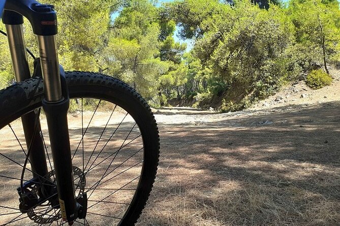 From Athens: Aegina Island E-bike & Walking Day Tour - The ferry to Aegina: a short ride with big mood change