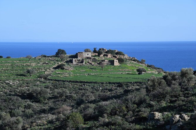 From Athens: Aegina Island E-bike & Walking Day Tour - A short hike to the summit at 531 m: the payoff moment