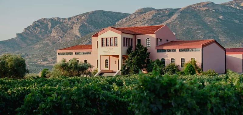 From Athens: Ancient Sparta and Nemea Wine Country Day Trip - Nemea: a pass-through taste of the wine region
