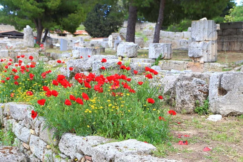 From Athens: Explore Ancient Corinth & Charming Nafplion - Should you book this tour?