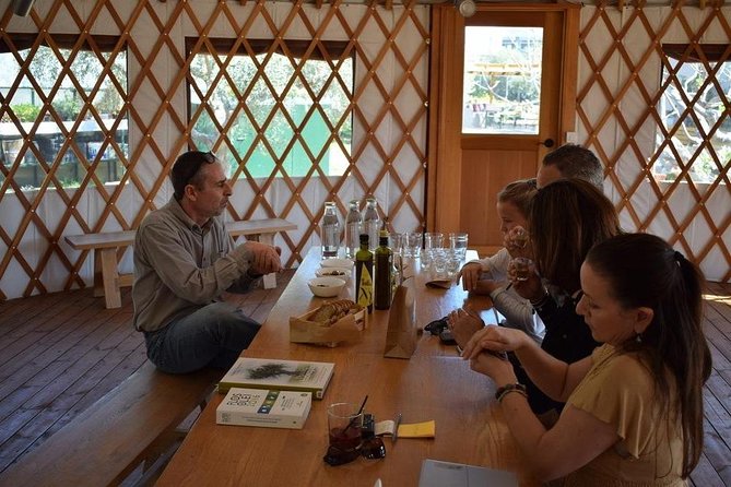 From Athens: Olive Oil Tasting, Olive Grove & Wine Experience - The olive estate welcome: groves, history, and rare Manaki trees