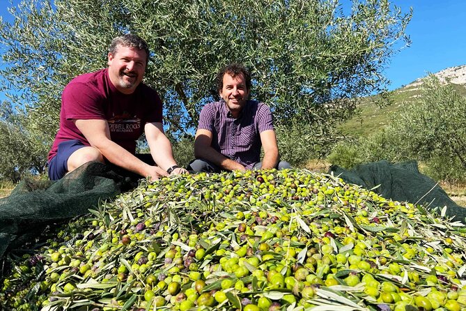 From Athens: Olive Oil Tasting, Olive Grove & Wine Experience - Wine tasting plus farm snacks: a relaxed finish, not a full meal