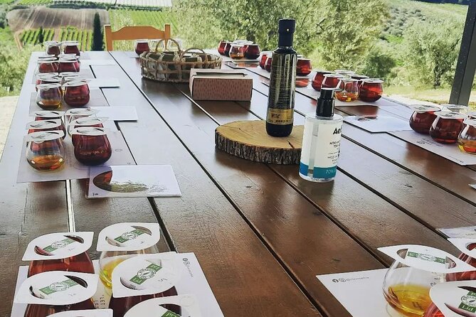 From Athens: Olive Oil Tasting, Olive Grove & Wine Experience - Who should book this Athens-to-Corinth olive oil experience