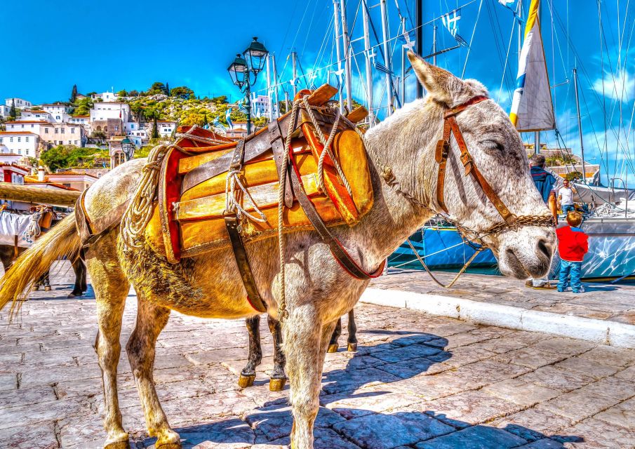 From Athens: Saronic Islands Full-Day Cruise with VIP Seats - Onboard Perks: VIP Lounge, Captain Meet-and-Greet, and Lunch That Holds Up