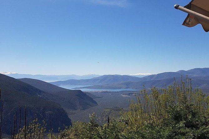 Full day Delphi private tour - Should You Book This Private Delphi Day Trip?