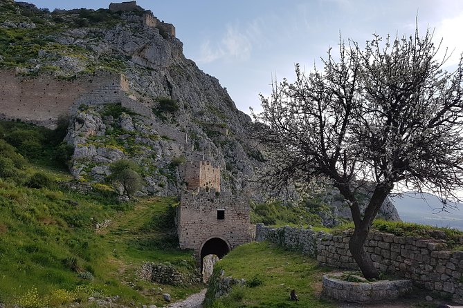 Full day tour Ancient Corinth with wine or olive oil tasting - Nemea plus tasting: where the flavors make sense