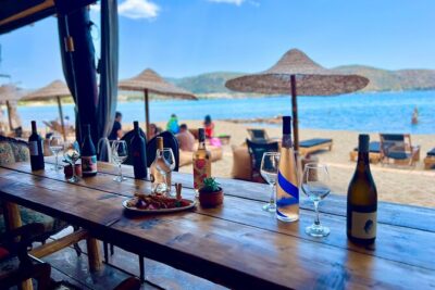 Greek Wine Tour with a Sommelier & Beach Day - Athenian Riviera - The 60-Minute Sommelier Tasting: How You Taste Like a Pro