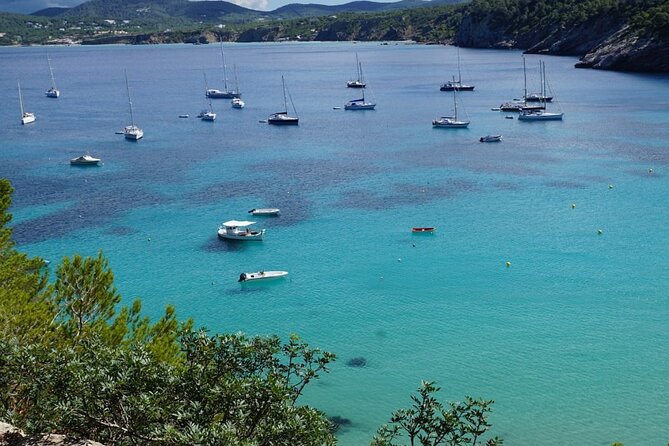 Half-Day Private Swimming Cruise along the Athenian Riviera - Fleves Island stop: the second swim window and optional SUP