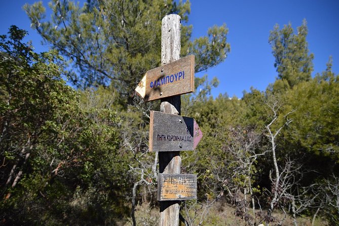 Hiking in Parnitha National Park Overlooking Athens - Getting There: Private Pickup, Sedan or Minivan, and a 9:00 Start