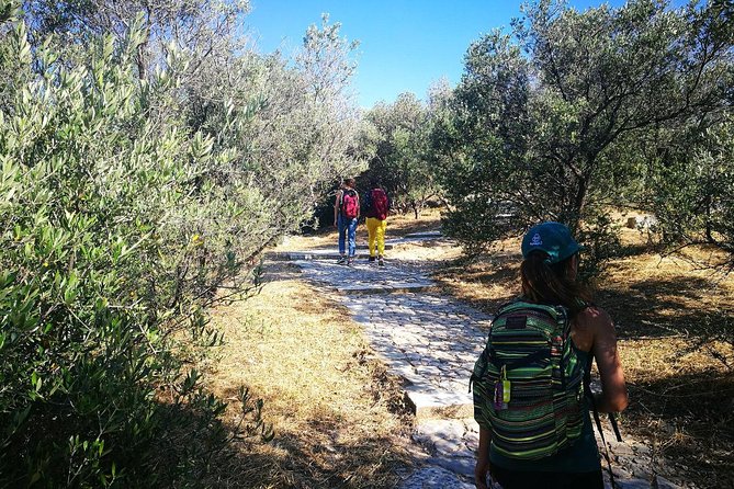 Hills Of Athens Walking Tour - Key reasons people love this walk