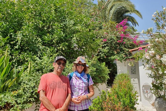 Hills Of Athens Walking Tour - Olympian Zeus, Hadrian’s Arch, and Herod Atticus Odeon: seeing big things from outside