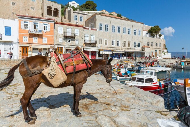 "Hydra: Wander the Cosmopolitan Car-Free Island on Foot" - The driver on Hydra: what accompaniment actually means here