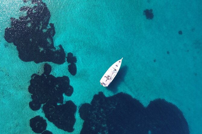 Luxury Catamaran Morning Semi-Private & Greek Gastronomy Athens - Price and value: what $165.27 buys you here