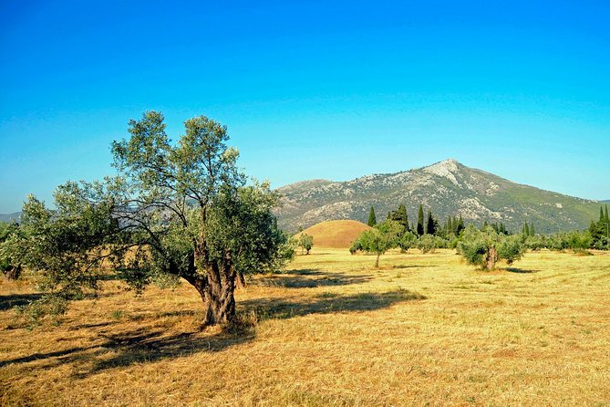 Marathon, Thermopylae, Thebes/Plataea, Herodotus Private Tour 10h - Schinias, Leoforos Marathonos, and Lake Marathon Dam: quick stops with meaning