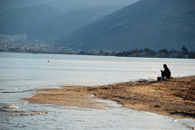 Marathon, Thermopylae, Thebes/Plataea, Herodotus Private Tour 10h - Entrance fees and price value: what you really pay for