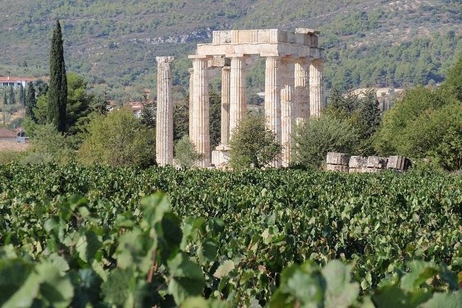 Nemea wine roads, The most famous wine tour in Greece - Key highlights worth your attention