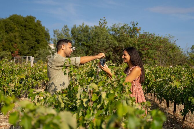 Nemea wine roads, The most famous wine tour in Greece - Piraeus pickup and the Athens-to-coast orientation drive