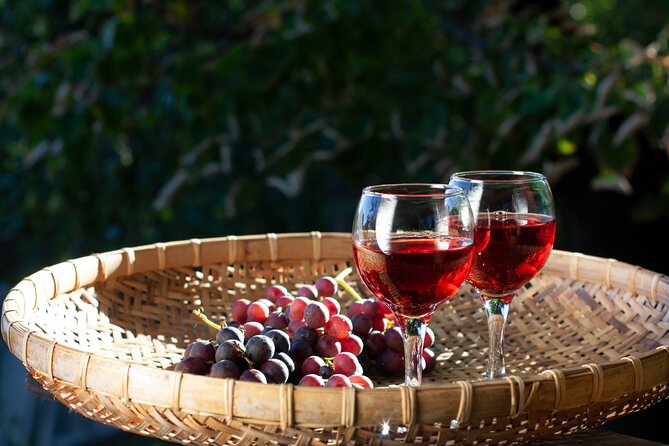 Nemea Wine Tasting & Nafplio Full-Day Private Tour from Athens - Price and what you’re really paying for from Athens