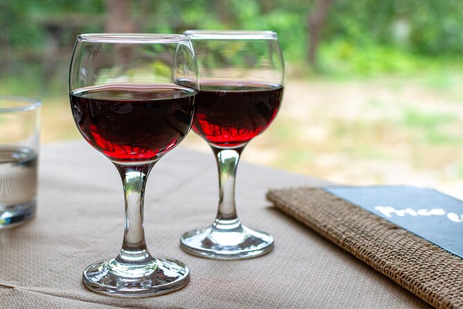 Nemea Wine Tasting & Nafplio Full-Day Private Tour from Athens - Palamidi Fortress: the optional climb and the payoff view