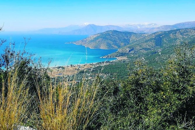 Off Road Experience from the Mountain to the Sea - Price and Value: Is $155.77 Worth a 5-Hour Mountain-to-Sea Day?