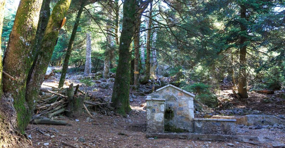 Parnitha (Parnis) / Skipiza & Mola loop - Hike near Athens - Key highlights you’ll care about