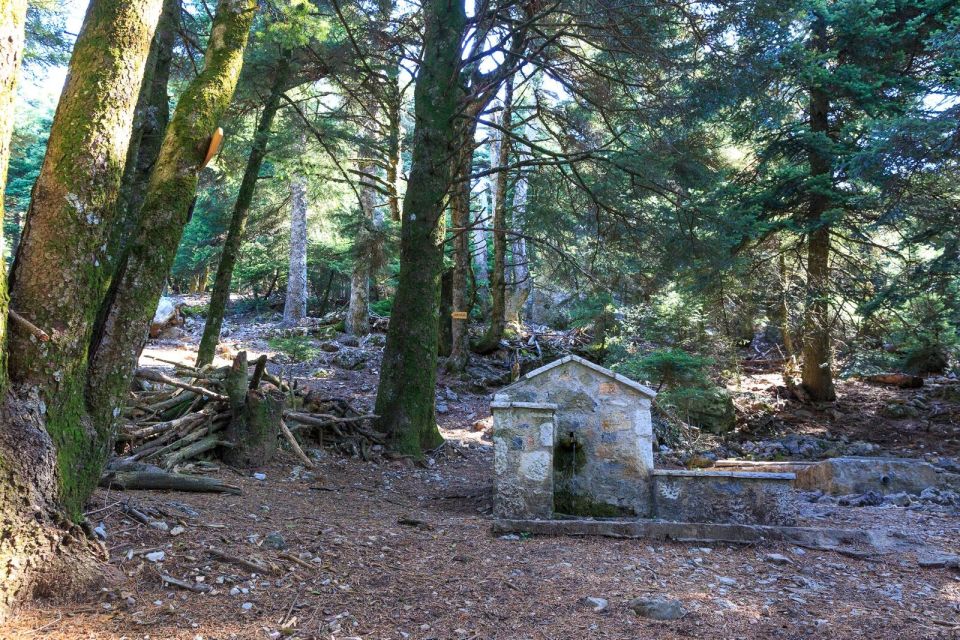 Parnitha (Parnis) / Skipiza & Mola loop - Hike near Athens - The Mpafi start: where the loop really comes together