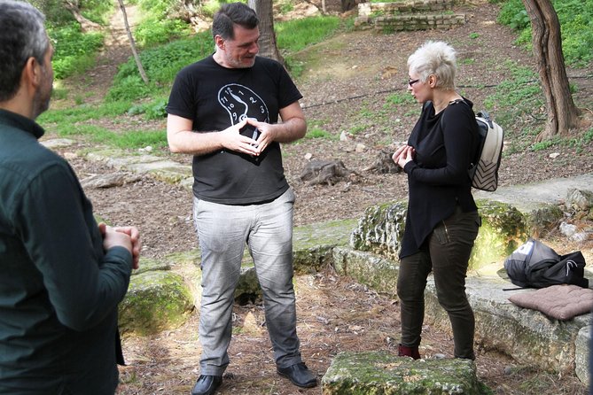 Philosophy Experiential Workshop at Plato's Academy Park -Athens - Optional extra hour: Aristotle’s virtue and choice game