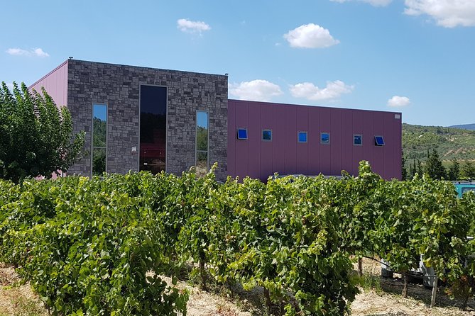 Premium Nemea Wine Tour from Athens, Nafplio or Nemea, with Oenologists - The Oenologist Effect: Why the Guide Matters
