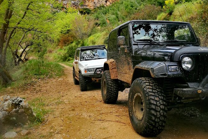 Private 4x4 Wine Tour from Athens to Marathon Lake and a Winery - Athens to Marathon Lake by 4x4: your green reset
