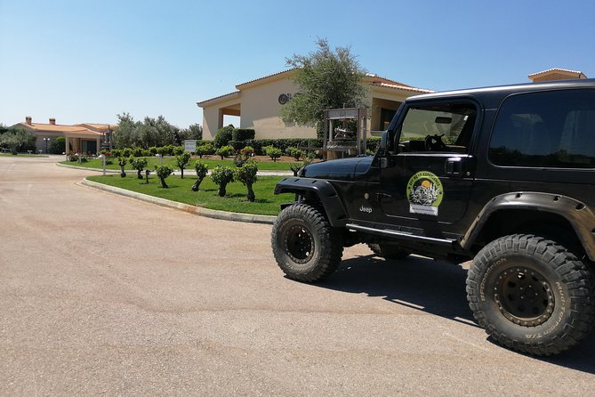 Private 4x4 Wine Tour from Athens to Marathon Lake and a Winery - Pickup, timing, and how the day usually flows