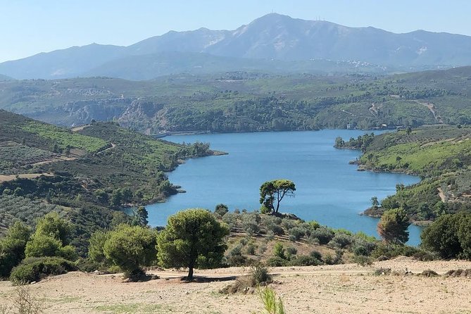 Private 4x4 Wine Tour from Athens to Marathon Lake and a Winery - What Marathon Lake feels like (and what to bring)