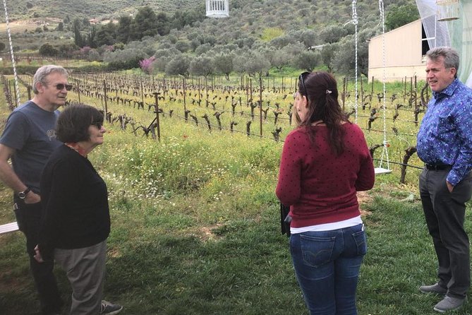 Private Athens to Mycenae & Nafplio Tour - Price and value: what you’re really paying for