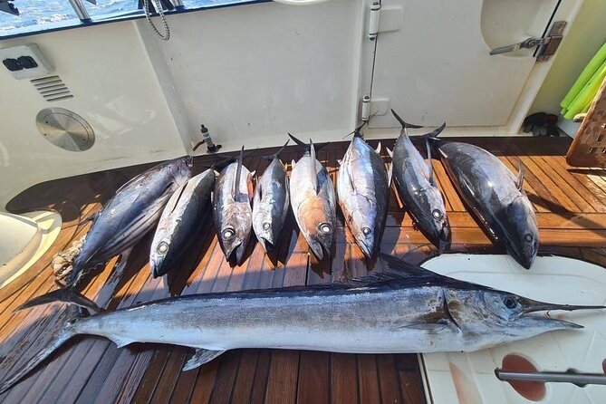 Private Boat and Fishing Tours in Greek Islands - Fishing with modern gear: instruction-first, not sink-or-swim