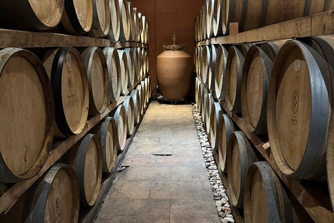 Private Daytrip for Truffle Mushroom Foraging and Wine Tasting - Lunch With Mushroom Recipes: The Part You’ll Remember