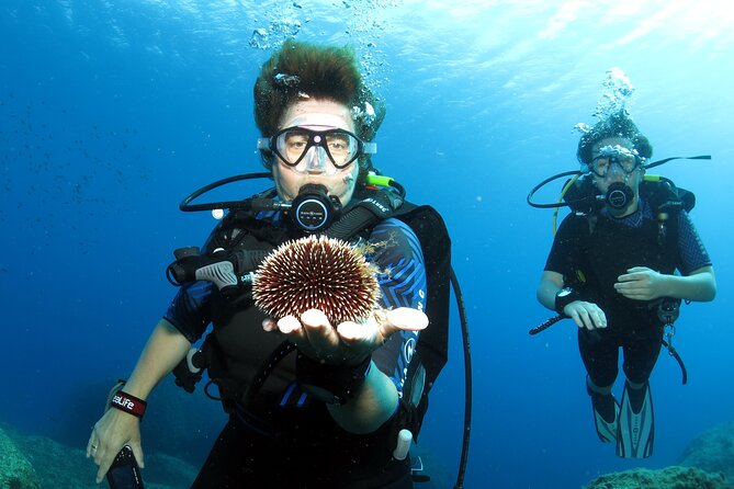 Private Discover Scuba Diving for Beginners in Athens with Pickup - Equipment, DAN insurance, and the comfort perks you’ll notice after